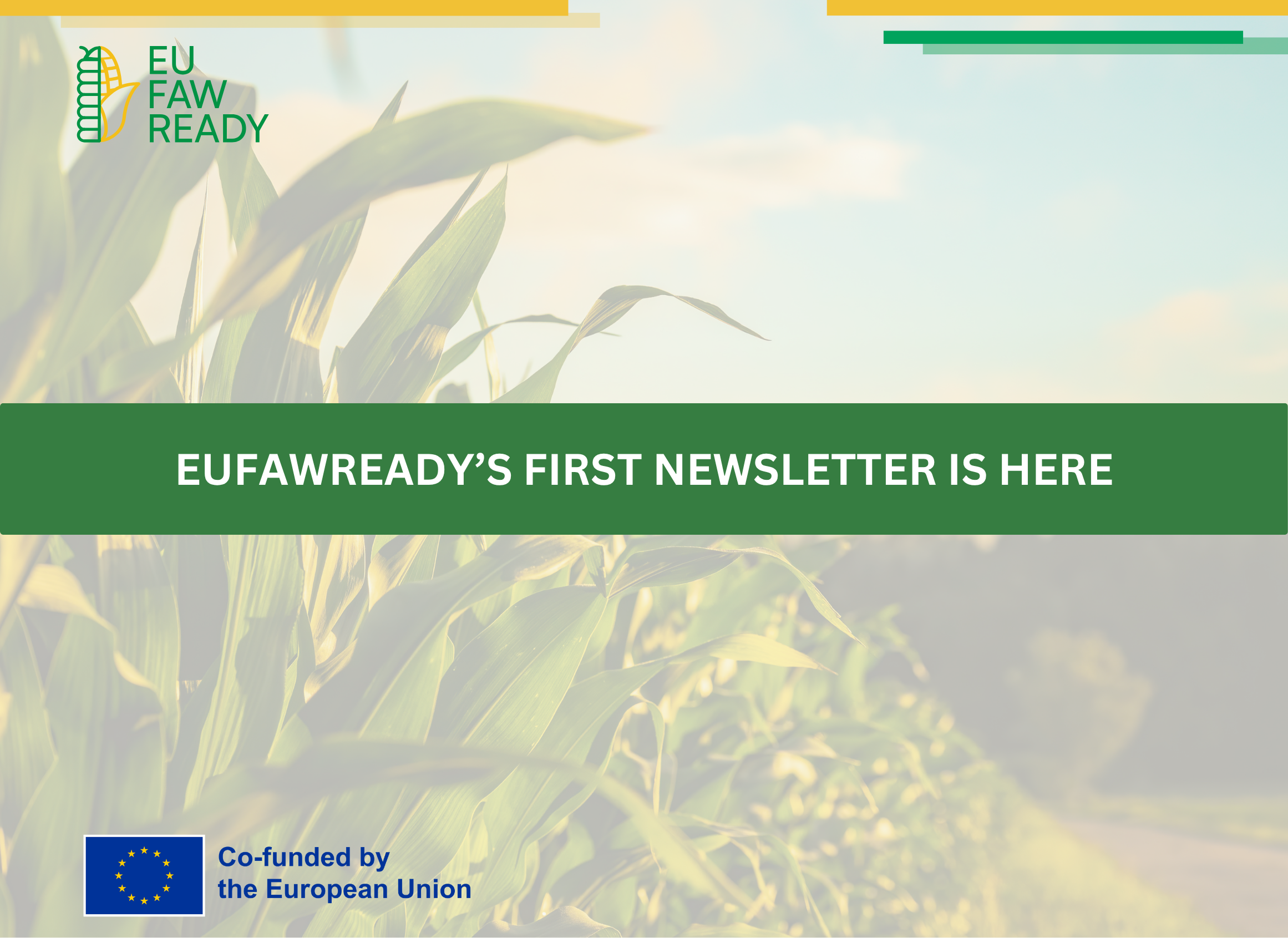 EUFAWREADY releases first newsletter as project reaches one-year milestone