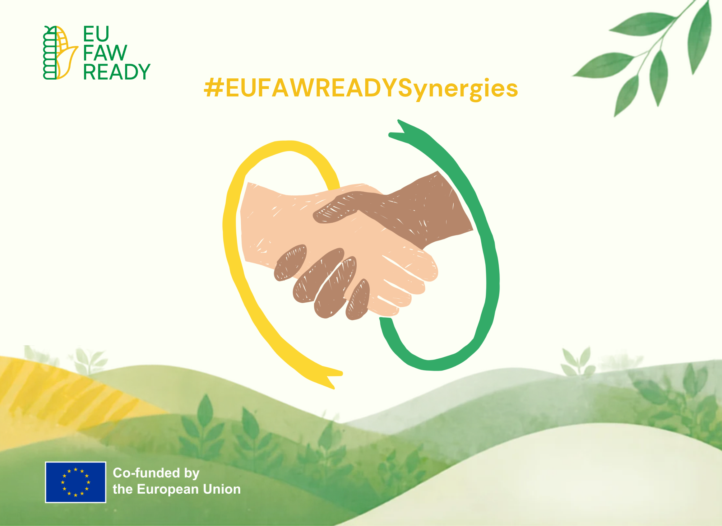 EUFAWREADY launches a new social media campaign